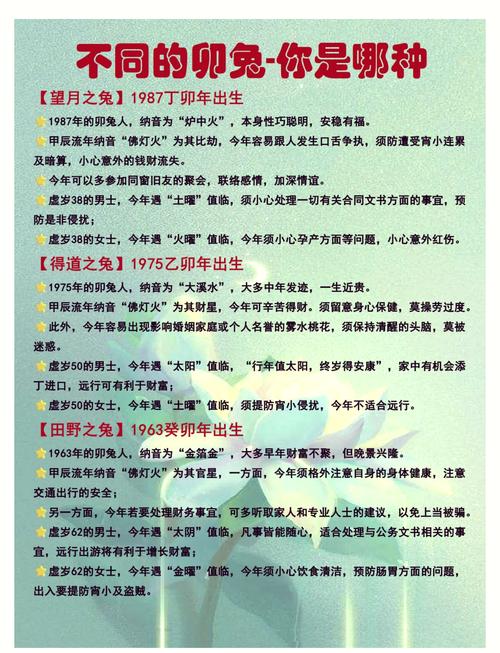 1987年屬兔女2024年全年運勢 1987年屬兔2024年運勢如何