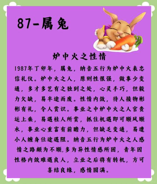 屬兔的最佳事業搭檔 從五行屬性看屬兔人事業運