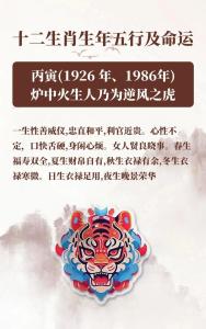 屬虎的最佳事業(yè)搭檔 從五行屬性看屬虎人事業(yè)運(yùn)