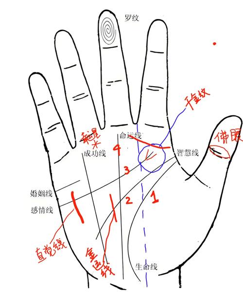 手相圖解看智商高低真的準