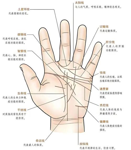 男生看手相看左手還是右手