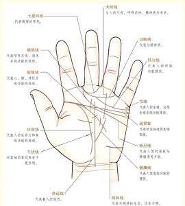手相川字掌紋圖解 手上川字紋好么