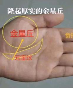 金星丘飽滿的人怎么樣 有什么說法