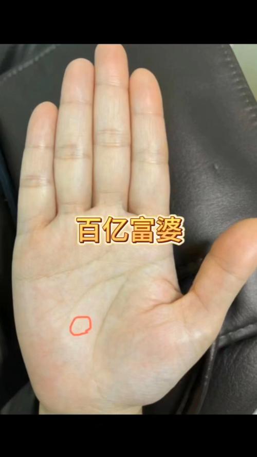 女人手掌的三峰凸起 大富大貴且生活順利