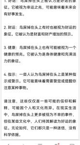 小鳥屎掉身上有什么預兆