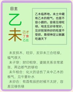 乙未日柱女命事業運 非常努力