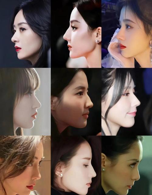 女人鼻相論鼻子最美的十大女星