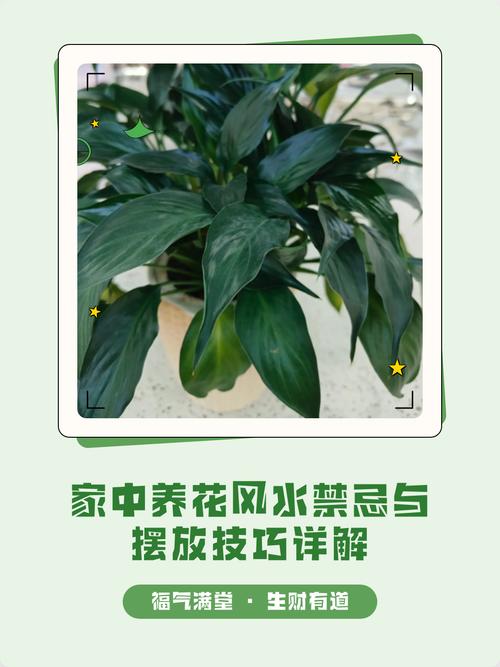 家里擺鮮花對風水好不好 怎么看