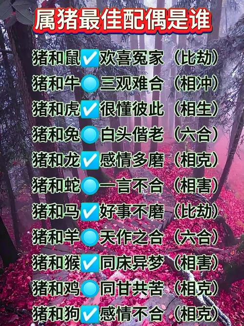  95屬豬男命中注定要娶的人 95屬豬正緣桃花是誰(shuí)