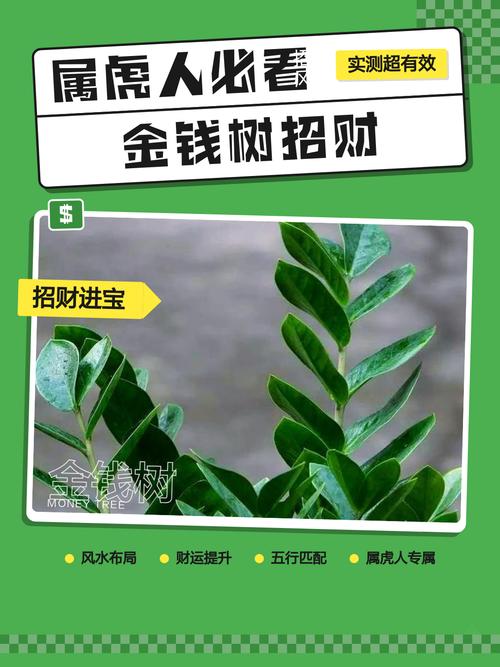 屬虎的養(yǎng)什么花最旺財招財 從五行屬性看屬虎人財運
