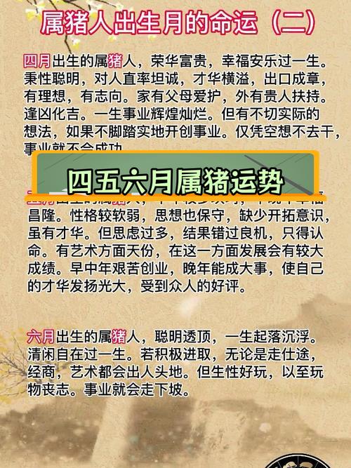 屬豬人出生月命運詳解 哪月出生的屬豬人偏財運好