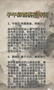 婚戀課堂：桃花婚配、風水趣談
