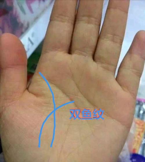 手相魚紋大全:真實的雙魚紋手相