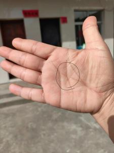 5條手紋最好命 大拇指夫子紋
