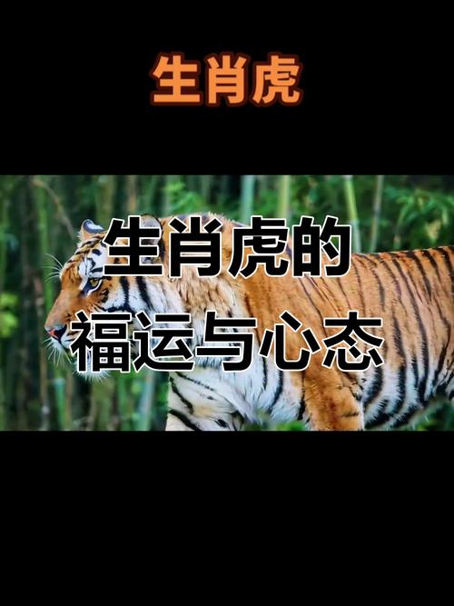 2022年屬虎大暑出生好命  運勢旺盛發展良好