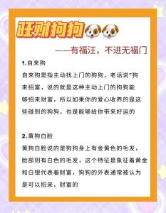 哪些人家養狗容易招來霉運