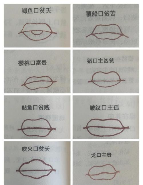覆船口面相圖解