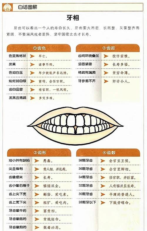 牙齒算命：牙齒尖代表著什么？