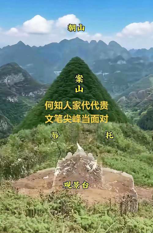平地木和澗下水配嗎