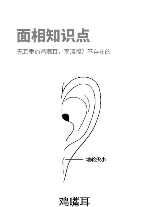 耳朵沒有耳廓面相如何