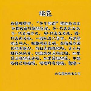 桃花極旺的八字