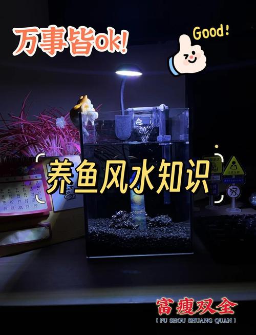 如何變土豪！魚缸養魚風水詳解