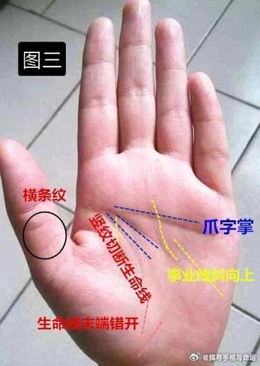 手相這種東西可信嗎