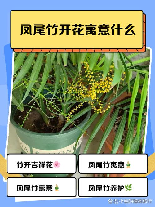 家里的竹子開花了預示什么 竹子開花一定有災嗎