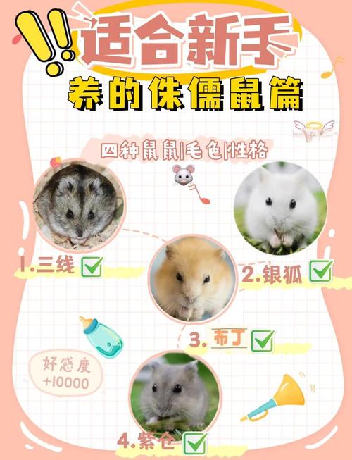 兔爸馬媽能生鼠寶寶嗎 關系不和缺乏溝通