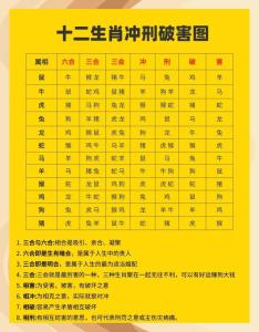 五行十二生肖