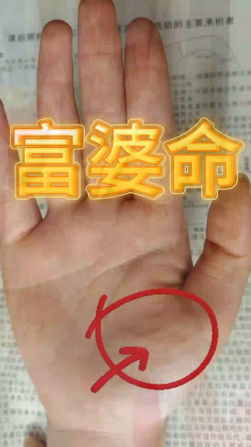 容易嫁給高富帥的女人手相