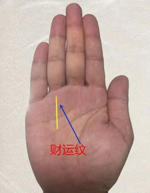 偏財運旺的男人有什么特征 手相田宅宮飽滿