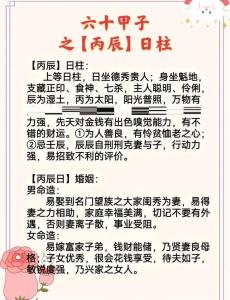 2022年八月二十五什么命 丙子日柱膽大有權謀