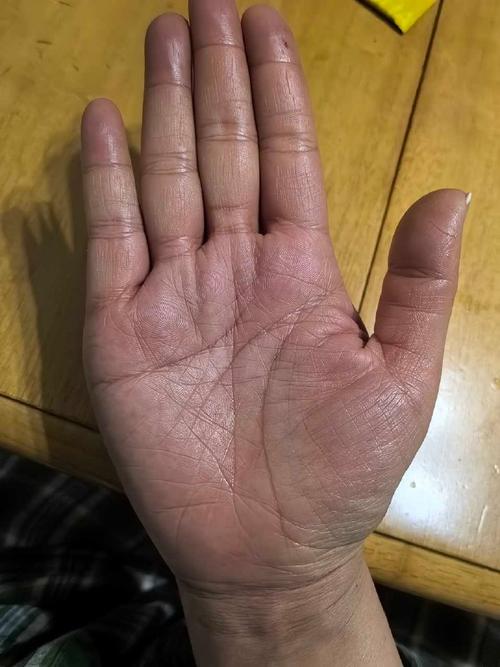 不適合從事學術工作的手相