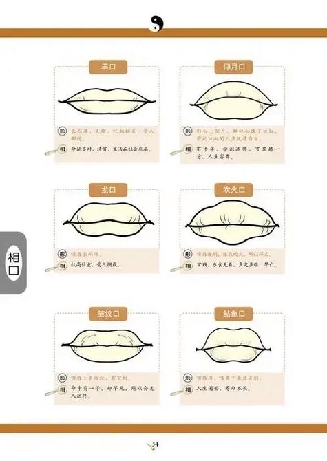 男人嘴唇厚面相