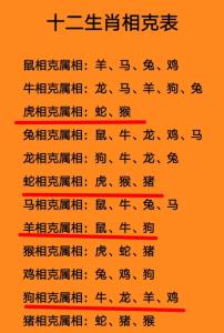 能化解嗎 兔2024跟什么屬相犯沖
