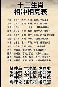 能化解嗎 2024龍和什么屬相沖相克呢