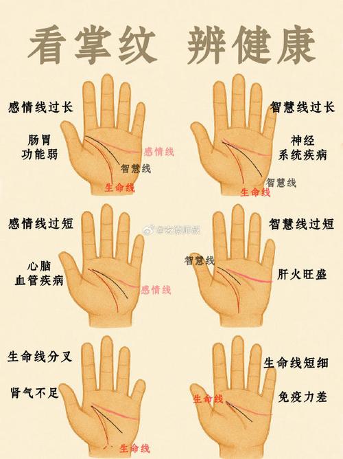 手相分析 這幾種手相特征的女人命苦