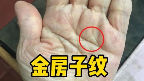 手相金花印在什么地方最好