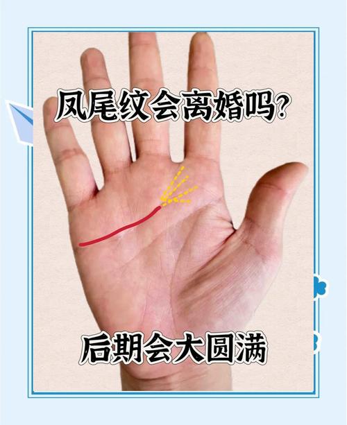 鳳尾紋手相必離婚 手相中鳳尾紋必離婚嗎