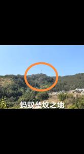 門口螞蟻風水有何講究