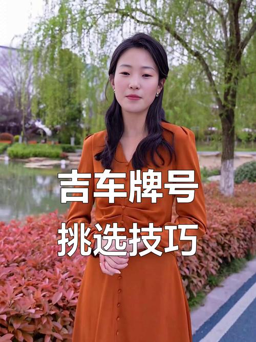 吉利車牌號碼數字組合 最旺運熱門車牌靚號