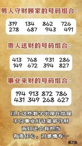 學業數字磁場分析 守財的手機號碼組合
