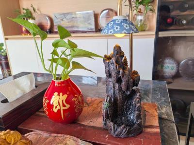 書房風水擺件有哪些 宜忌又有什么要注意的地方