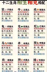 今日生肖沖煞 2022年4月16日生肖沖什么屬什么