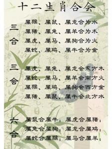 八字合婚要看屬相嗎