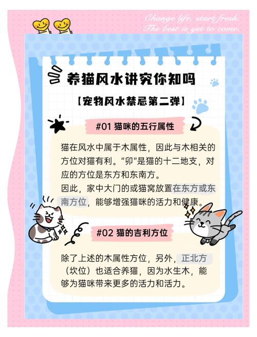 養(yǎng)貓對住宅風(fēng)水有哪些影響？