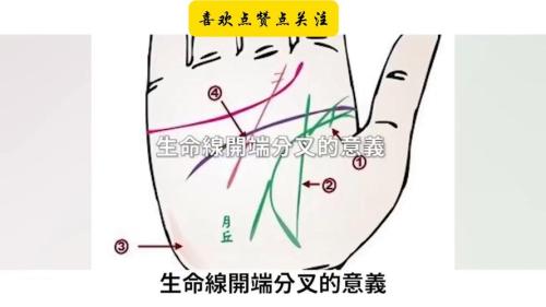 生命線起端有分叉會發生什么呢