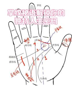 煩惱線可看人生運勢嗎