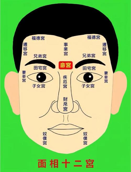 女人面相 擅長宮心計的面相圖解
